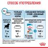 Royal Canin Medium Puppy  (для щенков средних пород до 12 месяцев) Royal Canin Medium Puppy  (для щенков средних пород до 12 месяцев)