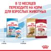 Royal Canin Medium Puppy  (для щенков средних пород до 12 месяцев) Royal Canin Medium Puppy  (для щенков средних пород до 12 месяцев)