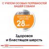 Royal Canin Mini Coat Care (для взрослых собак мелких размеров с тусклой и сухой шерстью) Royal Canin Mini Coat Care (для взрослых собак мелких размеров с тусклой и сухой шерстью)