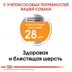 Royal Canin Mini Coat Care (для взрослых собак мелких размеров с тусклой и сухой шерстью) Royal Canin Mini Coat Care (для взрослых собак мелких размеров с тусклой и сухой шерстью)