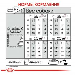 Royal Canin Mini Coat Care (для взрослых собак мелких размеров с тусклой и сухой шерстью) Royal Canin Mini Coat Care (для взрослых собак мелких размеров с тусклой и сухой шерстью)