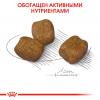 Royal Canin Mini Dental Care ( для взрослых собак мелких размеров, предрасположенных к образованию зубного камня) Royal Canin Mini Dental Care ( для взрослых собак мелких размеров, предрасположенных к образованию зубного камня)