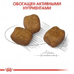 Royal Canin Mini Dental Care ( для взрослых собак мелких размеров, предрасположенных к образованию зубного камня) Royal Canin Mini Dental Care ( для взрослых собак мелких размеров, предрасположенных к образованию зубного камня)