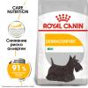 Royal Canin Mini Dermacomfort (для собак мелких пород с раздраженной и зудящей кожей) Royal Canin Mini Dermacomfort (для собак мелких пород с раздраженной и зудящей кожей)