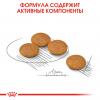 Royal Canin Mini Dermacomfort (для собак мелких пород с раздраженной и зудящей кожей) Royal Canin Mini Dermacomfort (для собак мелких пород с раздраженной и зудящей кожей)