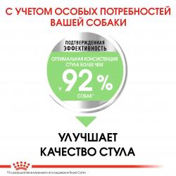 Royal Canin Mini Digestive Care (для собак мелких пород с чувствительным пищеварением) Royal Canin Mini Digestive Care (для собак мелких пород с чувствительным пищеварением)