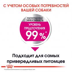 Royal Canin Mini Exigent (привередливым собакам мелких пород с 10 месяцев) Royal Canin Mini Exigent (привередливым собакам мелких пород с 10 месяцев)