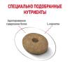 Royal Canin Mini Light Weight Care (для собак мелких пород, склонных к избыточному весу) Royal Canin Mini Light Weight Care (для собак мелких пород, склонных к избыточному весу)