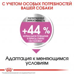 Royal Canin Mini Relax Care (для взрослых собак мелких размеров подверженных стрессу)