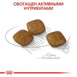 Royal Canin Mini Relax Care (для взрослых собак мелких размеров подверженных стрессу)
