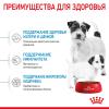 Royal Canin Mini Starter (для щенков до 2-х месяцев, беременных и кормящих сук)
