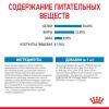 Royal Canin Mini Starter (для щенков до 2-х месяцев, беременных и кормящих сук)