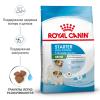 Royal Canin Mini Sterilised (для взрослых стерилизованных собак мелких размеров)