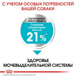 Royal Canin Mini Urinary Care (для взрослых собак мелких размеров с чувствительной мочевыделительной системой) Royal Canin Mini Urinary Care (для взрослых собак мелких размеров с чувствительной мочевыделительной системой)