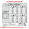 Royal Canin Mini Urinary Care (для взрослых собак мелких размеров с чувствительной мочевыделительной системой) Royal Canin Mini Urinary Care (для взрослых собак мелких размеров с чувствительной мочевыделительной системой)