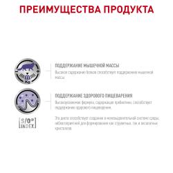 Royal Canin Neutered Maintenance Feline (для кастрированных/стерилизованных котов и кошек с момента операции до 7 лет) 85г х 12шт  Royal Canin Neutered Maintenance Feline (для кастрированных/стерилизованных котов и кошек с момента операции до 7 лет) 85г х 12шт