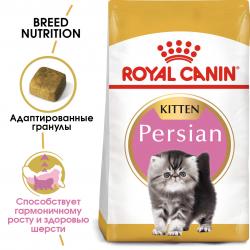 Royal Canin Persian Kitten (для персидских котят в возрасте до 12 месяцев)