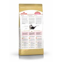 Royal Canin Persian Kitten (для персидских котят в возрасте до 12 месяцев)