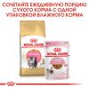 Royal Canin Persian Kitten (для персидских котят в возрасте до 12 месяцев)