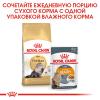 Royal Canin Persian Adult (для персидских кошек старше 12 месяцев)