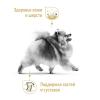 Royal Canin Pomeranian Adult (сухой корм для померанского шпица) Royal Canin Pomeranian Adult (сухой корм для померанского шпица)