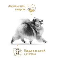 Royal Canin Pomeranian Adult (сухой корм для померанского шпица) Royal Canin Pomeranian Adult (сухой корм для померанского шпица)