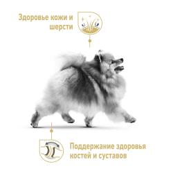 Royal Canin Pomeranian Adult 85г х 12шт (паштет для померанского шпица)