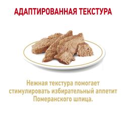 Royal Canin Pomeranian Adult 85г х 12шт (паштет для померанского шпица)
