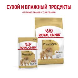 Royal Canin Pomeranian Adult 85г х 12шт (паштет для померанского шпица)