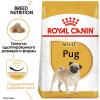 Royal Canin Pug Adult (для взрослых мопсов от 10 месяцев)