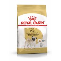 Royal Canin Pug Adult (для взрослых мопсов от 10 месяцев) Royal Canin Pug Adult (для взрослых мопсов от 10 месяцев)