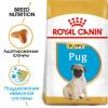 Royal Canin Pug Puppy (для щенков породы Мопс до 10 месяцев) Royal Canin Pug Puppy (для щенков породы Мопс до 10 месяцев)