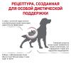 Royal Canin Renal (собакам с хронической почечной недостаточностью) Royal Canin Renal (собакам с хронической почечной недостаточностью)