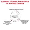 Royal Canin Renal (собакам с хронической почечной недостаточностью) Royal Canin Renal (собакам с хронической почечной недостаточностью)