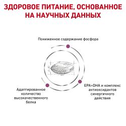 Royal Canin Renal (собакам с хронической почечной недостаточностью) Royal Canin Renal (собакам с хронической почечной недостаточностью)