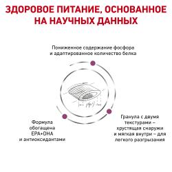 Royal Canin Renal Select Feline (для поддержания функции почек) Royal Canin Renal Select Feline (для поддержания функции почек)