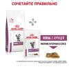 Royal Canin Renal Select Feline (для поддержания функции почек) Royal Canin Renal Select Feline (для поддержания функции почек)