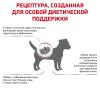 Royal Canin Renal Small Dog (для собак до 10 кг с хронической болезнью почек)
