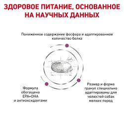 Royal Canin Renal Small Dog (для собак до 10 кг с хронической болезнью почек)