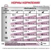 Royal Canin Renal Small Dog (для собак до 10 кг с хронической болезнью почек)