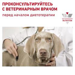 Royal Canin Renal Small Dog (для собак до 10 кг с хронической болезнью почек)