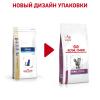 Royal Canin Renal Special Feline (для поддержания функции почек) Royal Canin Renal Special Feline (для поддержания функции почек)