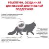 Royal Canin Renal Special Feline (для поддержания функции почек) Royal Canin Renal Special Feline (для поддержания функции почек)