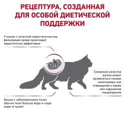 Royal Canin Renal Special Feline (для поддержания функции почек) Royal Canin Renal Special Feline (для поддержания функции почек)