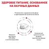 Royal Canin Renal Special Feline (для поддержания функции почек) Royal Canin Renal Special Feline (для поддержания функции почек)
