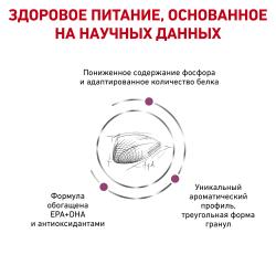 Royal Canin Renal Special Feline (для поддержания функции почек) Royal Canin Renal Special Feline (для поддержания функции почек)
