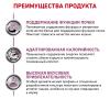 Royal Canin Renal Special Feline (для поддержания функции почек) Royal Canin Renal Special Feline (для поддержания функции почек)