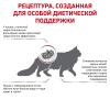 Royal Canin Renal (для кошек при хронической почечной недостаточности) Royal Canin Renal (для кошек при хронической почечной недостаточности)