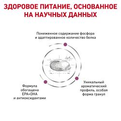 Royal Canin Renal (для кошек при хронической почечной недостаточности) Royal Canin Renal (для кошек при хронической почечной недостаточности)