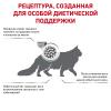 Royal Canin Satiety Weight Management (для взрослых кошек для снижения веса)